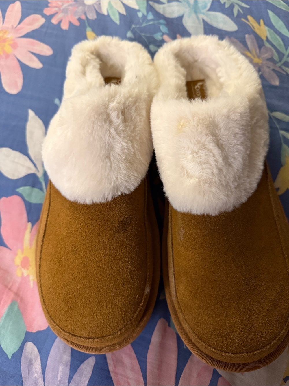 Women’s  Cozy Faux-Suede Slippers with Plush Cream Collar